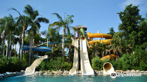Wild Wet Fun Water Park