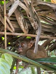 菲律賓眼鏡猴及野生動物保護區
