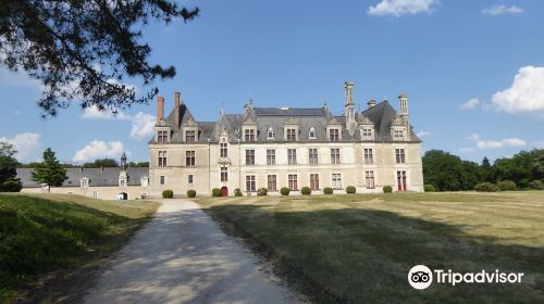 Park and Castle de Beauregard