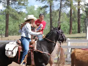 Majestic Dude Ranch
