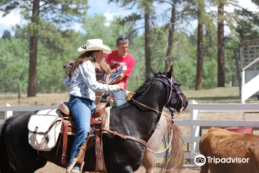 Majestic Dude Ranch