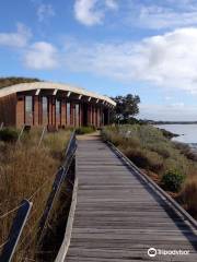 Marine and Freshwater Discovery Centre open to public only during our holiday program