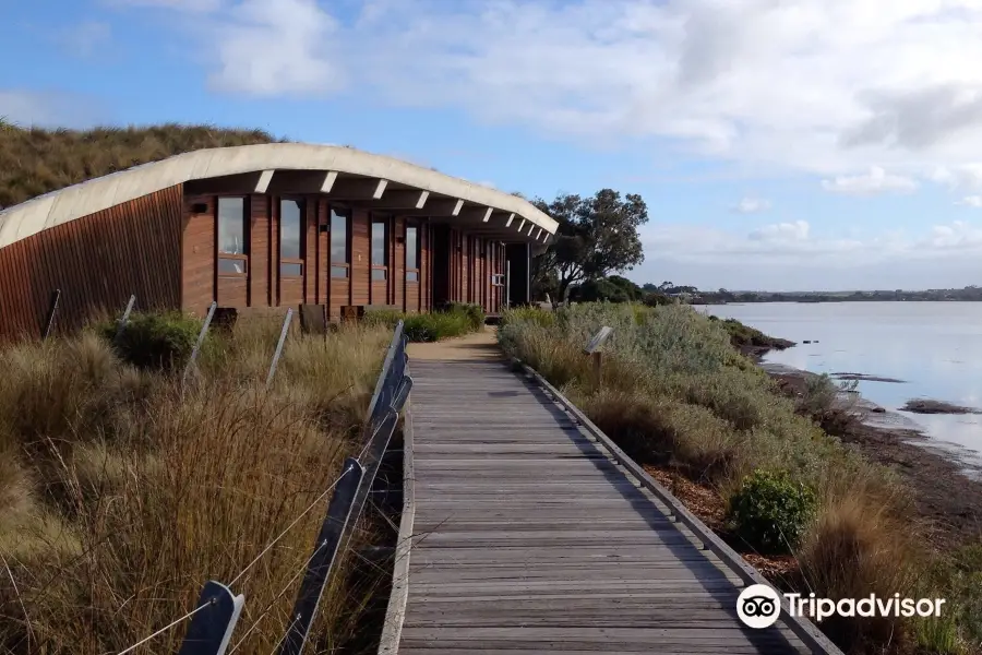 Marine and Freshwater Discovery Centre open to public only during our holiday program