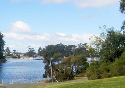 Magical Park at Gutterridge Gardens in Waratah-Wynyard