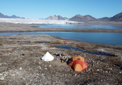 Svalbard Wildlife Expeditions