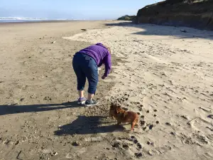 Beachside State Recreation Site