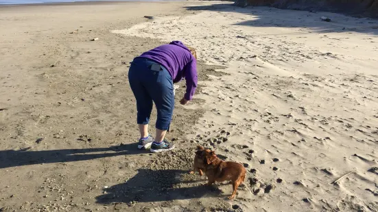 Beachside State Recreation Site