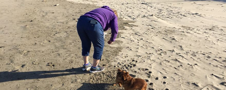 Beachside State Recreation Site