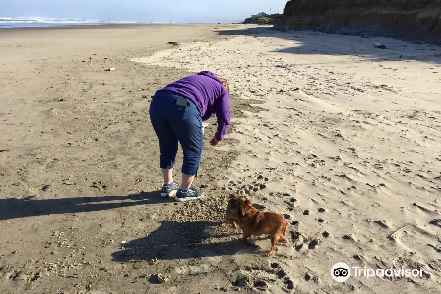 Beachside State Recreation Site