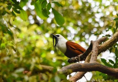 Wildlife Refuge Monteverde