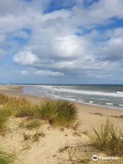 Winterton Dunes