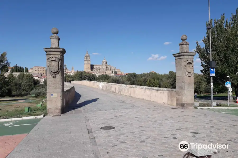 Roman bridge of Salamanca