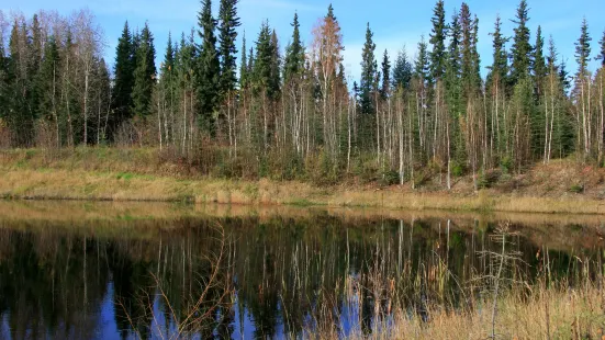 Wedgewood Wildlife Sanctuary