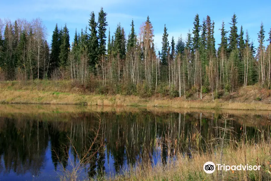 Wedgewood Wildlife Sanctuary