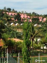 Thermas Internacional de Minas Gerais