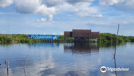 Dermaga Kereng Bangkirai