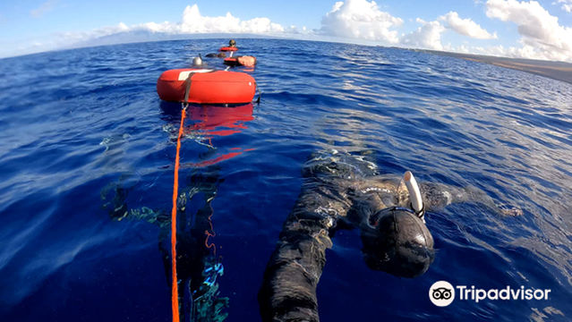 Composure Freediving