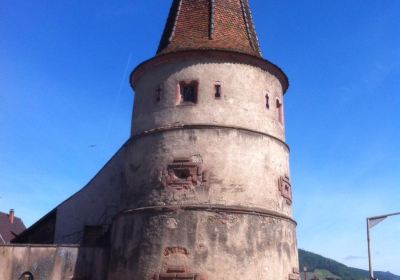 Domaine Colon Pierre - Vins d'Alsace