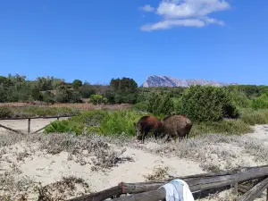 Spiaggia La Cinta