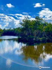 lago Parramatta