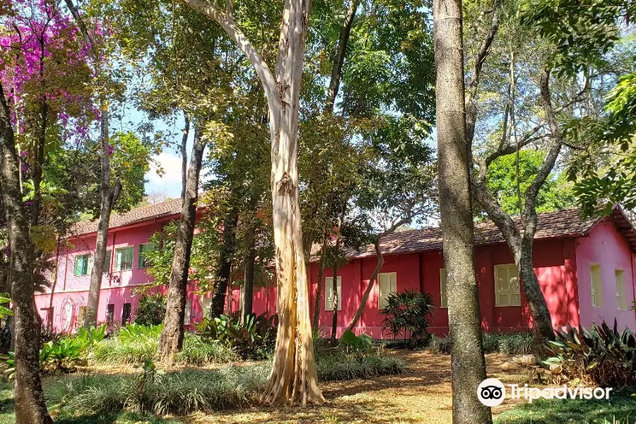 UFMG Natural History museum and Botanic Gardens