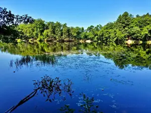 Puffers Pond