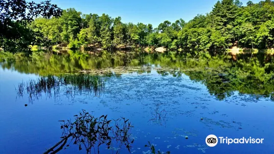 Puffer's Pond