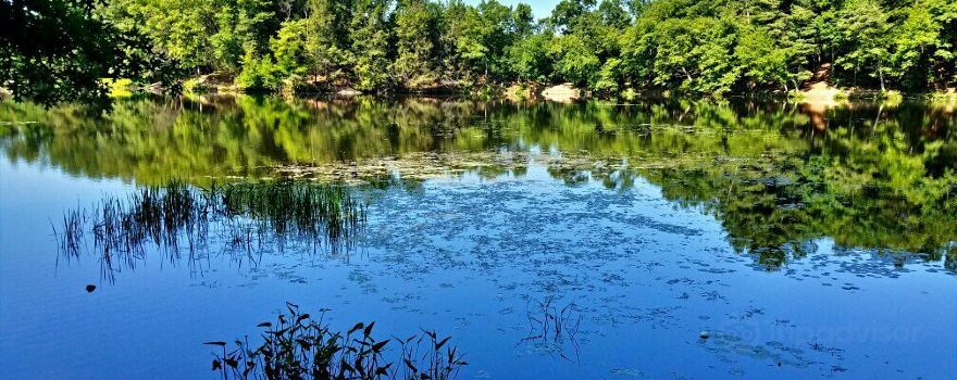 Puffers Pond