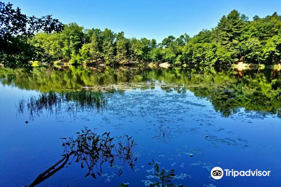 Puffer's Pond