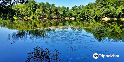 Puffer's Pond