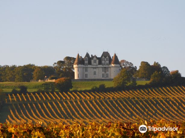 Chateau de Monbazillac