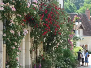Chedigny - Jardin Remarquable