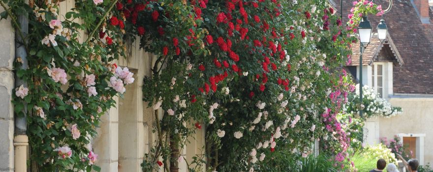 Chedigny - Jardin Remarquable