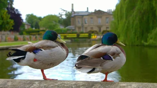 Coombe Country Park