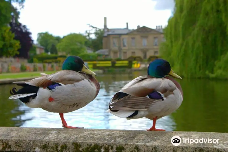 Coombe Abbey Country Park