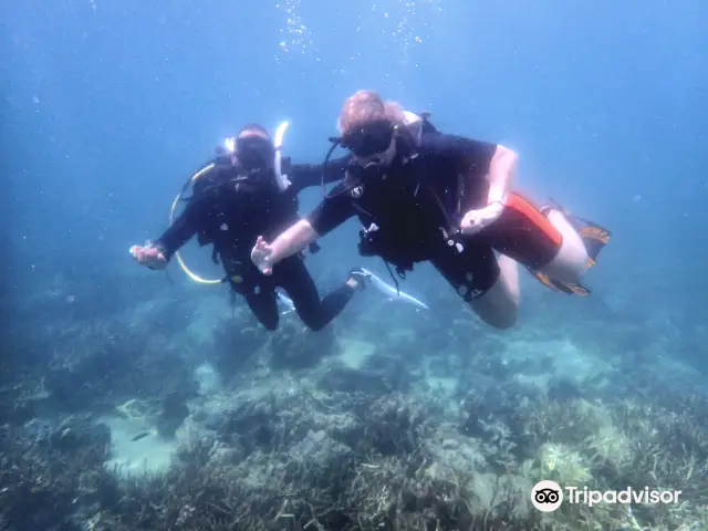 Diving in Koh Kood