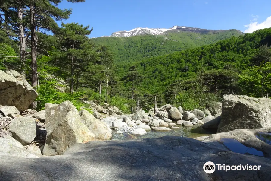 Cascade des Anglais