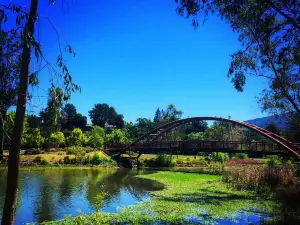 Vasona Lake County Park