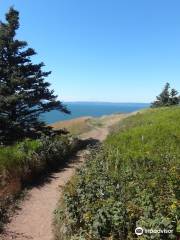Cape Split Hiking Trail