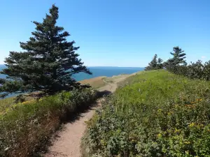 Cape Split Hiking Trail