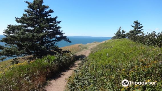 Cape Split Trailhead
