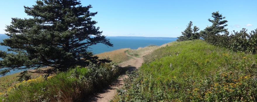 Cape Split Trailhead