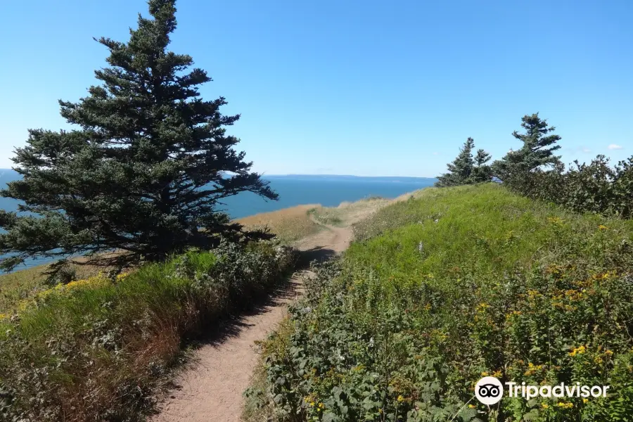 Cape Split Hiking Trail