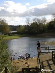 Daventry Country Park