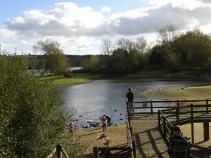 Daventry Country Park