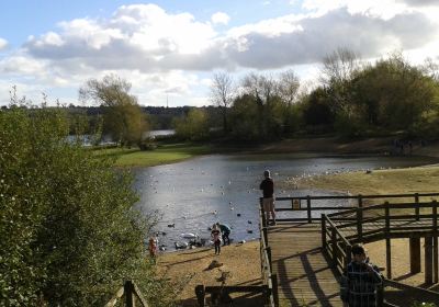 Daventry Country Park