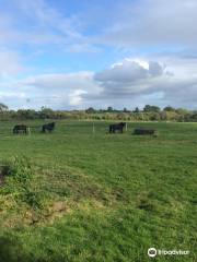 Clare Equestrian Centre