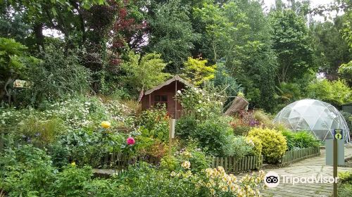 Whickham Hermitage Community Garden