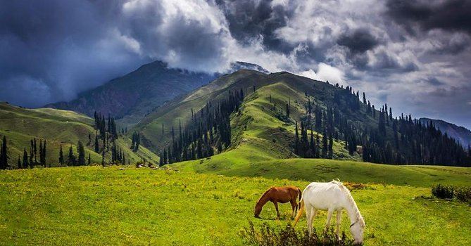 Abbottabad Tehsil