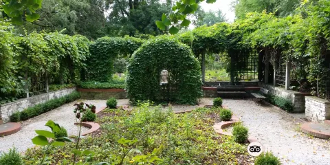 Botanical Gardens （Ogrod Botaniczny）